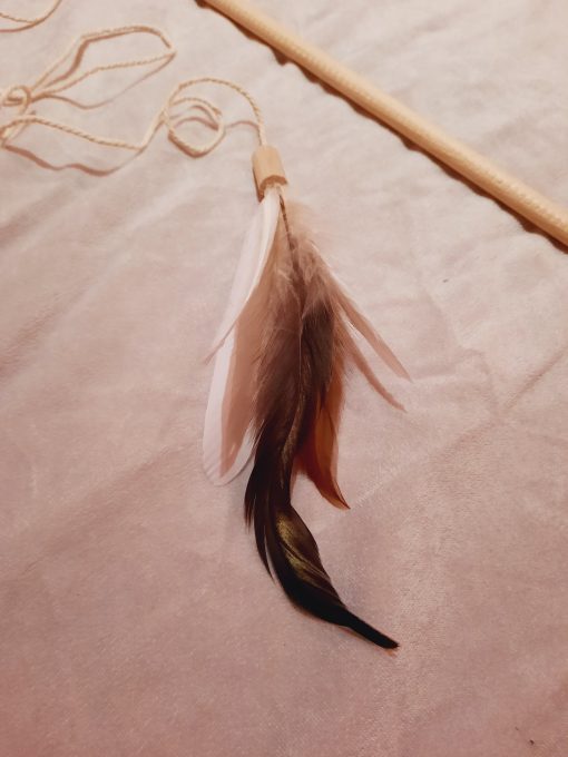 katzenangel catchthebirdy